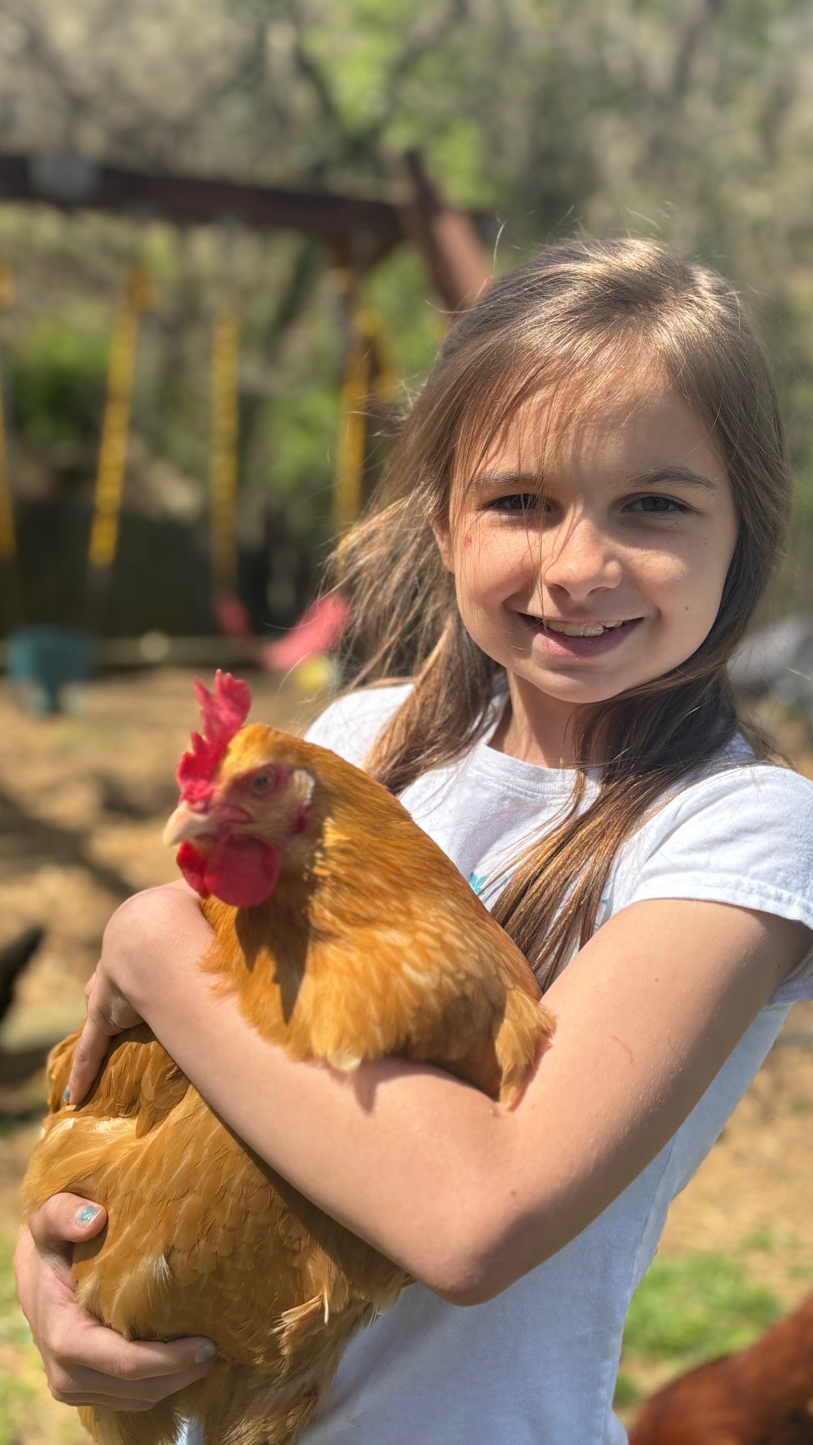 1 Dozen of Ava's Eggs