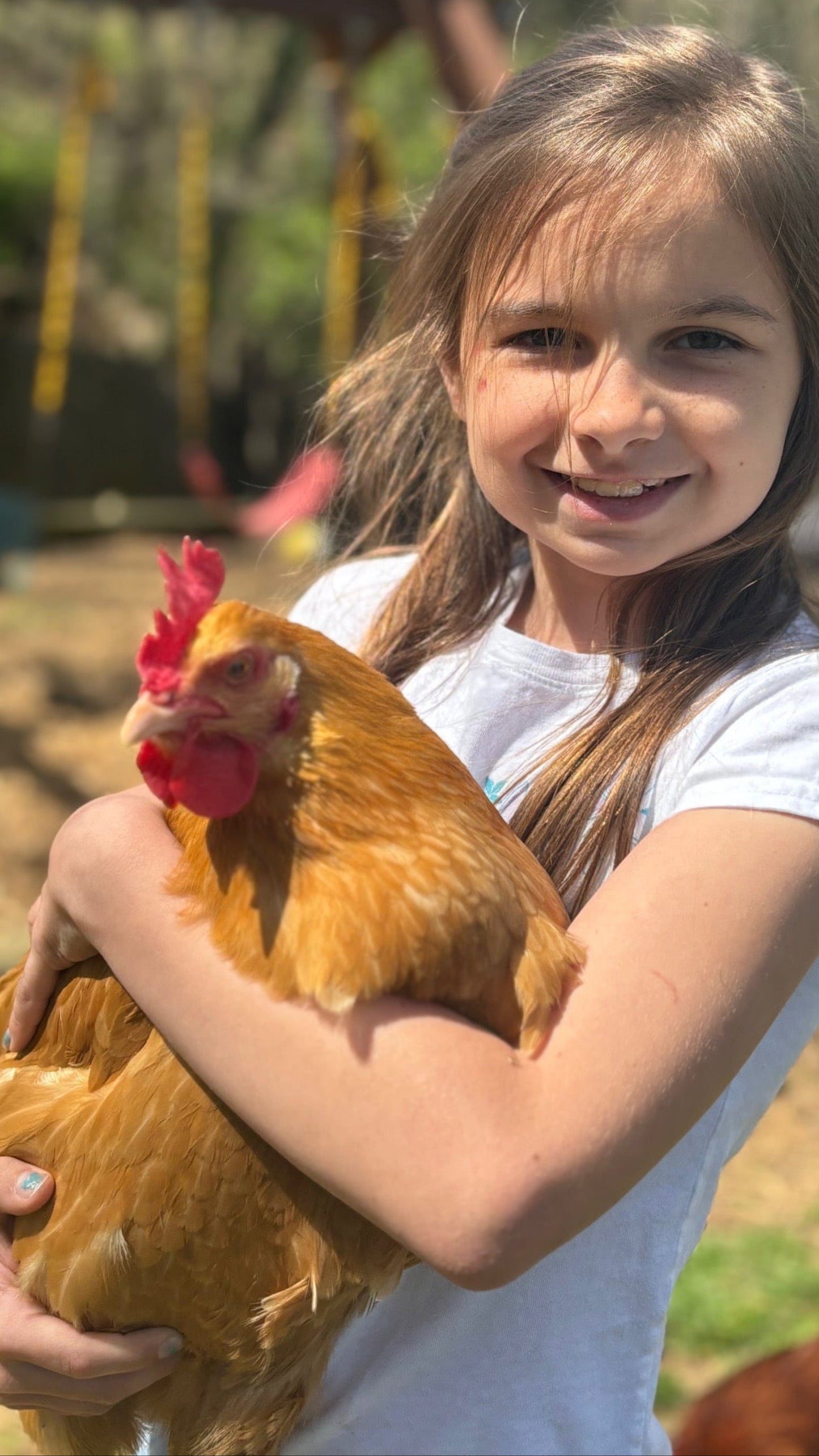1 Dozen of Ava's Eggs